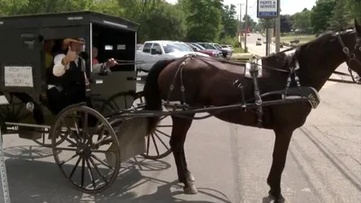 „Amish Uber”: alternativa low-tech la popularul serviciu de ride-sharing
