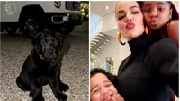 Cum se laudă Khloe Kardashian pe Instagram cu labradorul său negru primit de Crăciun, în ciuda criticilor de la PETA (FOTO)