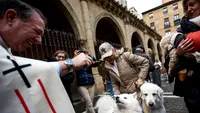 Binecuvântarea animalelor 2026: procesiuni, târguri și ritualuri pentru patrupede