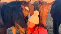 Interviu la final de an cu Daniela Popovici, femeia care îngrijește peste 1.200 de animale salvate: „Animalele sunt viața mea. Am renunțat la tot pentru ele, am și divorțat” (FOTO + VIDEO)