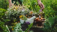 Leacurile din farmacia Mariei Treben. Plantele pe care le recomandă pentru stomac, somn și vindecarea rănilor