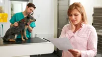 Costurile uriașe la veterinar, în vizorul autorităților din Marea Britanie: Ce schimbări se pregătesc pentru proprietarii de animale