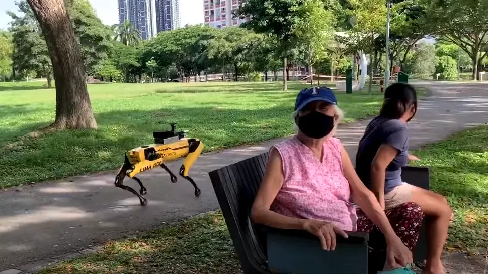 Câinele robot Spot le transmite oamenilor să păstreze distanța într-un parc - VIDEO