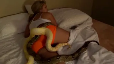Să pui doi şerpi uriaşi în patul iubitei - probabil cea mai proastă farsă din istoria internetului