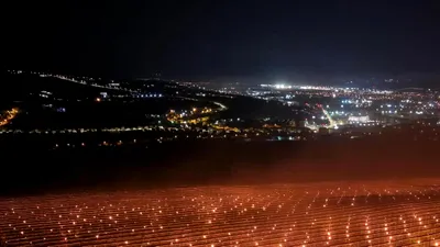 Tehnologia salvează recolta: Investițiile în sisteme anti-îngheț au adus o producție record de cireșe la o fermă din Cluj