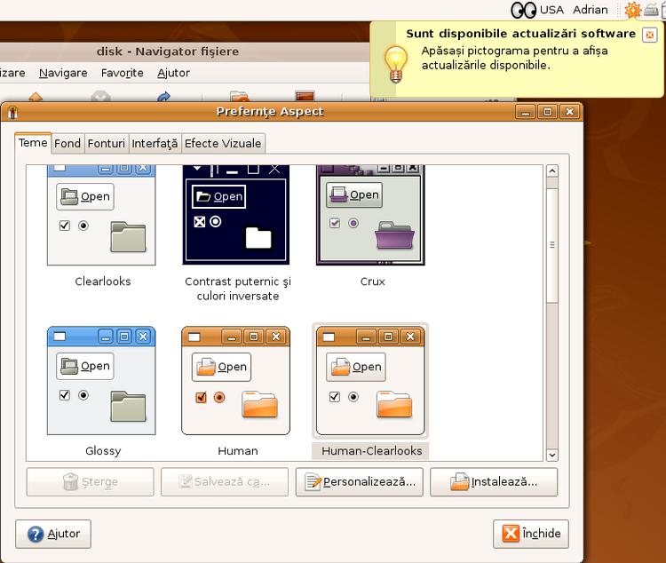 Ubuntu 8.04, selectarea temelor