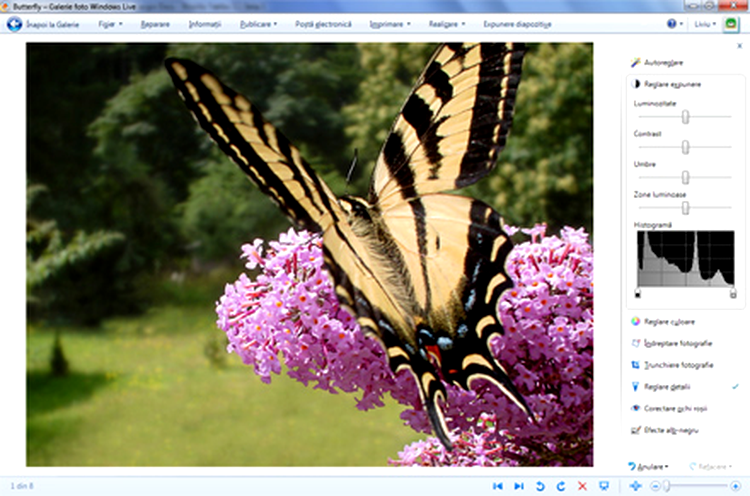 Program de modificat poze: Windows Live Photo Gallery
