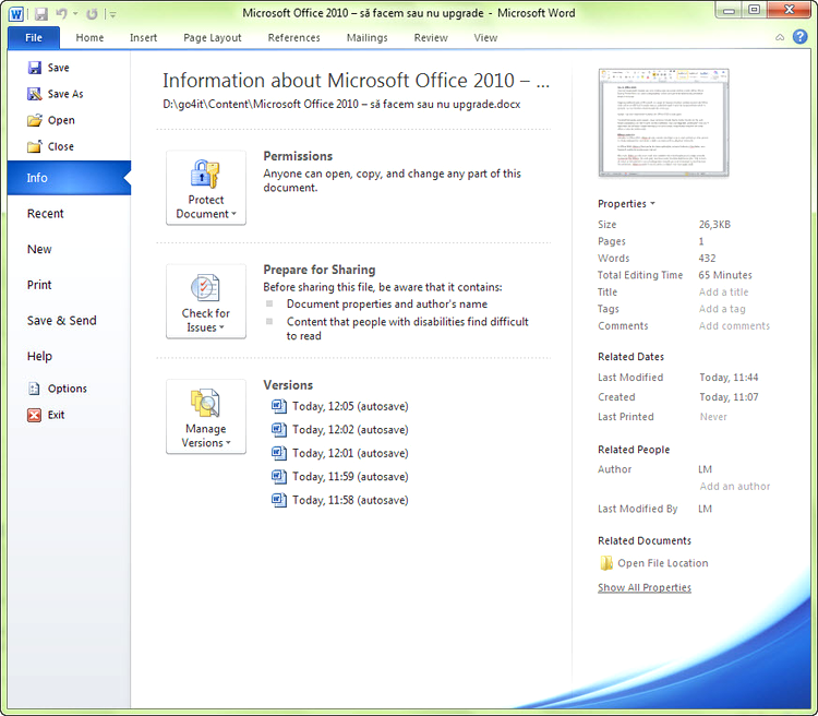 Microsoft Office 2010