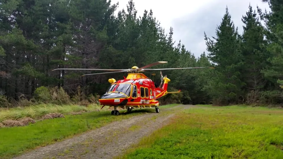 FOTO: Descoperire emoționantă făcută de un elicopter de căutare și salvare, într-o pădure