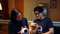 Vex: Robotul care transformă zilele animalului tău de companie în videoclipuri amuzante De ce Vex este mai mult decât o cameră video pentru animale (VIDEO)