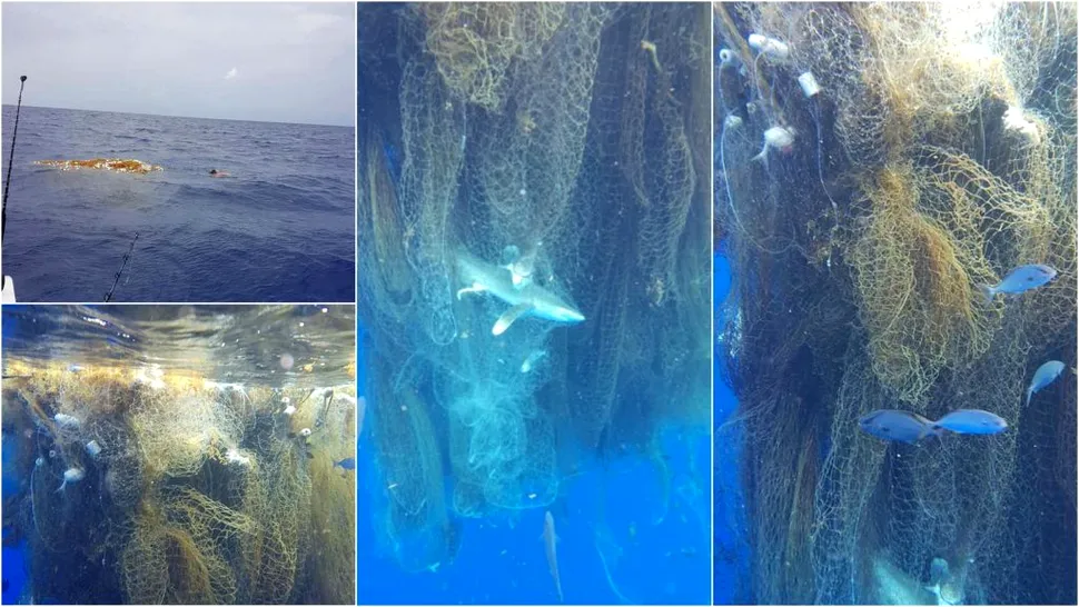 Plasa de pescuit „fantomă” ucide sute de animale marine