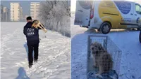 O întreagă familie de câini, ridicată de ASPA din Sectorul 4. Încercau să se ferească de frig într-un șantier (FOTO)