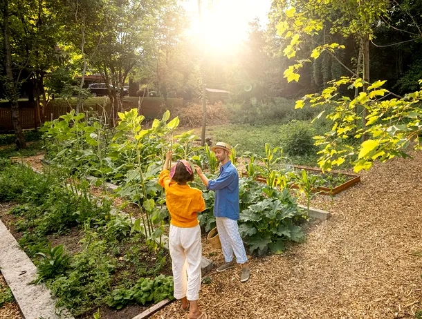 Kaufland surprinde cu oferta Parkside: un produs este indisponibil deja, dar apare kitul solar smart-eco pentru grădină