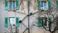 În Elveția, pisicile nu sunt ținute în casă. Sistemul ingenios care permite pisicilor de apartament să iasă singure la plimbare: scări și rampe pe toate clădirile (FOTO + VIDEO)