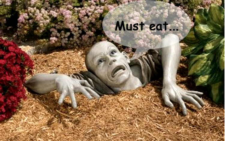 Zombie Garden