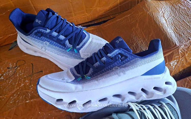 adidas contrafacut capturat in portil constanta