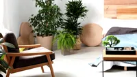Lucrurile pe care să NU le ții în casă, pentru a avea noroc la bani în august, conform Feng Shui